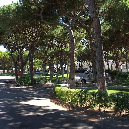Estudio Tranquilo Praia Da Falesia Albufeira Kültér fotó