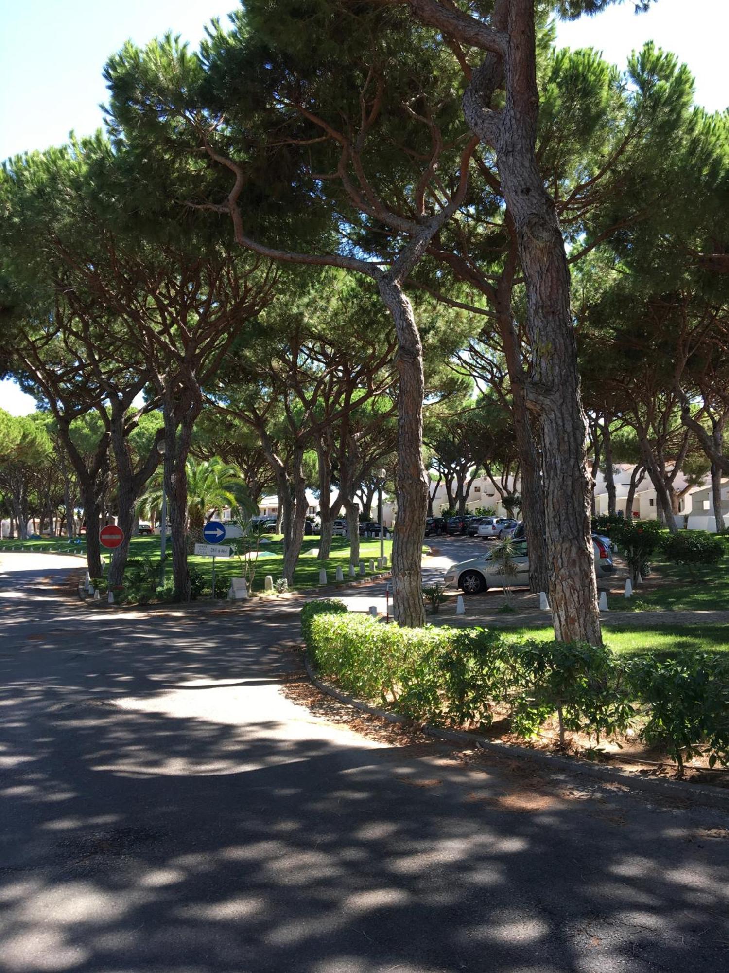 Estudio Tranquilo Praia Da Falesia Albufeira Kültér fotó